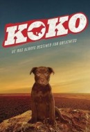 Gledaj Koko: A Red Dog Story Online sa Prevodom