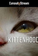 Gledaj Kittenhood Online sa Prevodom