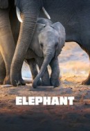 Gledaj Elephant Online sa Prevodom