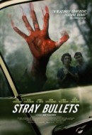 Gledaj Stray Bullets Online sa Prevodom