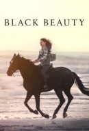 Gledaj Black Beauty Online sa Prevodom