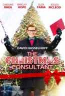 Gledaj The Christmas Consultant Online sa Prevodom