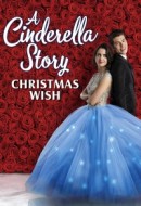 Gledaj A Cinderella Story: Christmas Wish Online sa Prevodom