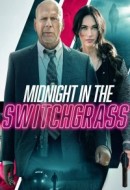 Gledaj Midnight in the Switchgrass Online sa Prevodom