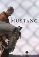 Gledaj The Mustang Online sa Prevodom