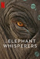 Gledaj The Elephant Whisperers Online sa Prevodom