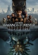 Gledaj Black Panther: Wakanda Forever Online sa Prevodom