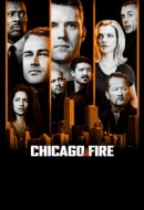 Gledaj Chicago Fire Online sa Prevodom