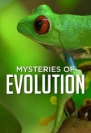 Gledaj Mysteries of Evolution Online sa Prevodom