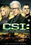 Gledaj CSI: Crime Scene Investigation Online sa Prevodom