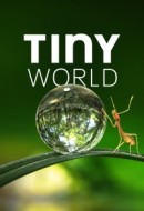 Gledaj Tiny World Online sa Prevodom