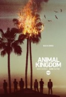 Gledaj Animal Kingdom Online sa Prevodom
