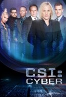 Gledaj CSI: Cyber Online sa Prevodom