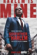 Gledaj Godfather of Harlem Online sa Prevodom