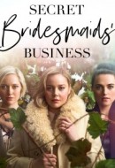 Gledaj Secret Bridesmaids' Business Online sa Prevodom