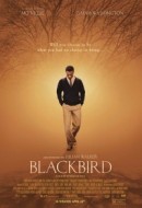 Gledaj Blackbird Online sa Prevodom