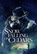 Gledaj Snow Falling on Cedars Online sa Prevodom
