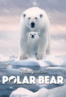 Gledaj Polar Bear Online sa Prevodom