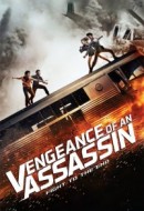 Gledaj Vengeance of an Assassin Online sa Prevodom