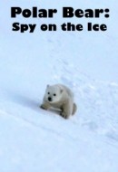 Gledaj Polar Bears: Spy on the Ice Online sa Prevodom