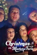 Gledaj Christmas on Mistletoe Farm Online sa Prevodom