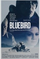 Gledaj Bluebird Online sa Prevodom