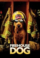 Gledaj Firehouse Dog Online sa Prevodom