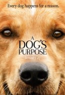 Gledaj A Dog's Purpose Online sa Prevodom
