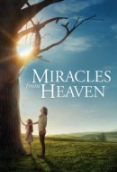 Gledaj Miracles from Heaven Online sa Prevodom