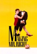 Gledaj Making Mr. Right Online sa Prevodom