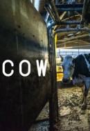 Gledaj Cow Online sa Prevodom