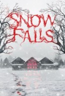 Gledaj Snow Falls Online sa Prevodom