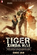Gledaj Tiger Zinda Hai Online sa Prevodom