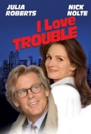 Gledaj I Love Trouble Online sa Prevodom
