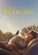 Gledaj The Starling Online sa Prevodom
