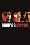 Gledaj Amores Perros Online sa Prevodom