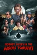 Gledaj Nobody Sleeps in the Woods Tonight Online sa Prevodom