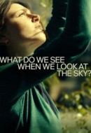 Gledaj What Do We See When We Look at the Sky? Online sa Prevodom