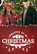 Gledaj Wrapped Up In Christmas Online sa Prevodom