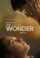 Gledaj The Wonder Online sa Prevodom