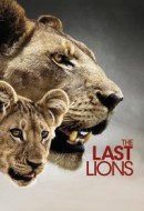 Gledaj The Last Lions Online sa Prevodom