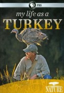 Gledaj My Life as a Turkey Online sa Prevodom