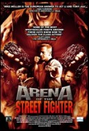 Gledaj Arena of the Street Fighter Online sa Prevodom