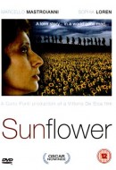 Gledaj Sunflower Online sa Prevodom