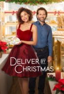 Gledaj Deliver by Christmas Online sa Prevodom
