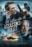 Gledaj Assassin's Bullet Online sa Prevodom