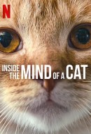 Gledaj Inside the Mind of a Cat Online sa Prevodom