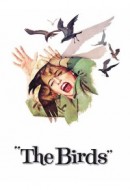 Gledaj The Birds Online sa Prevodom