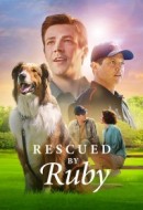 Gledaj Rescued by Ruby Online sa Prevodom
