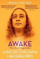 Gledaj Awake: The Life of Yogananda Online sa Prevodom